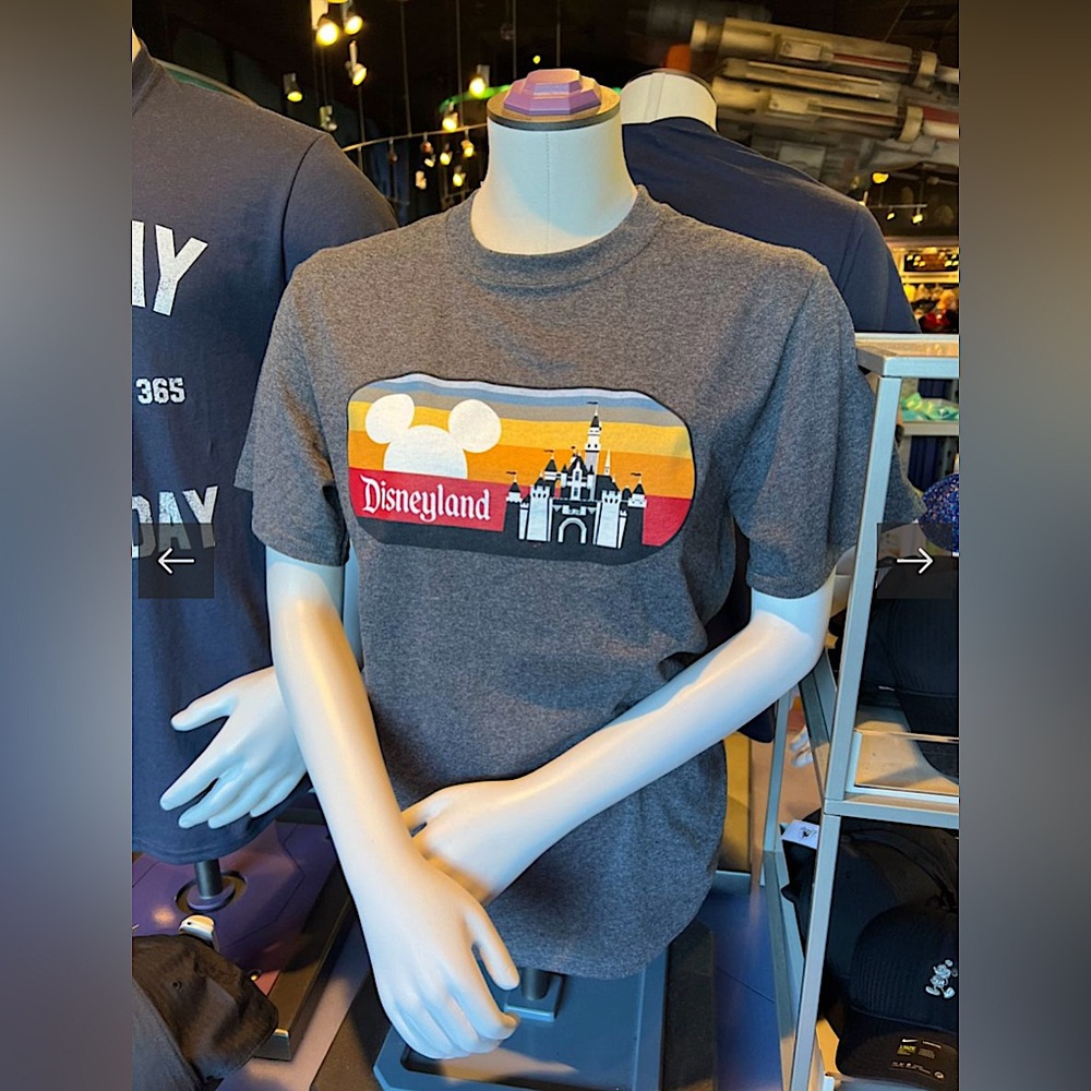 Unisex gray Disneyland Retro Design T-Shirt, Small, BNWT